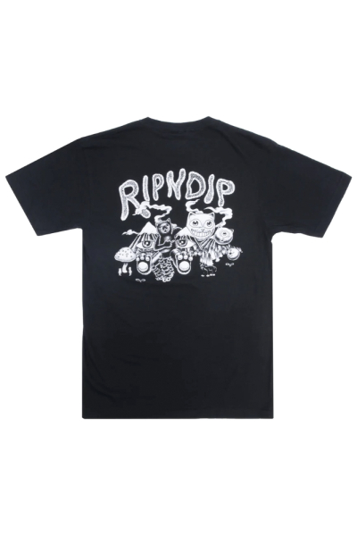 RND9556